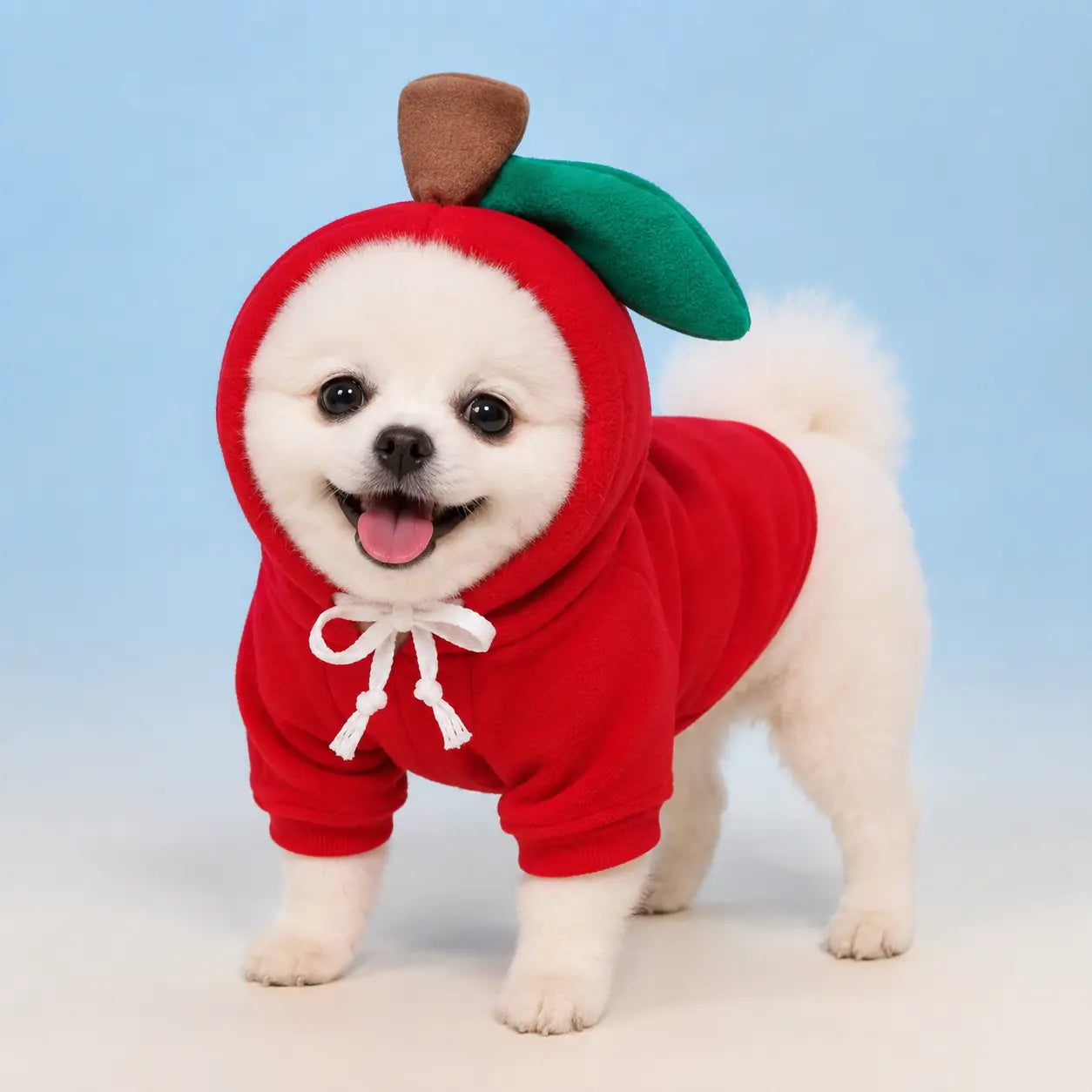 Furavora Fruity Fleece Hoodie — 1 style