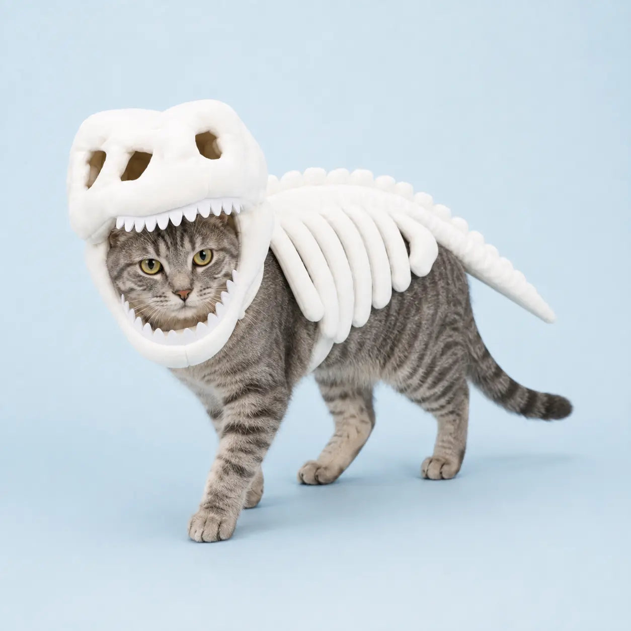 Furavora Dino Skeleton Costume product image