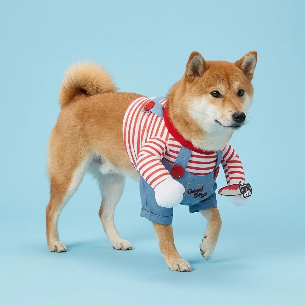 Furavora Halloween Rider Costume — Photo color