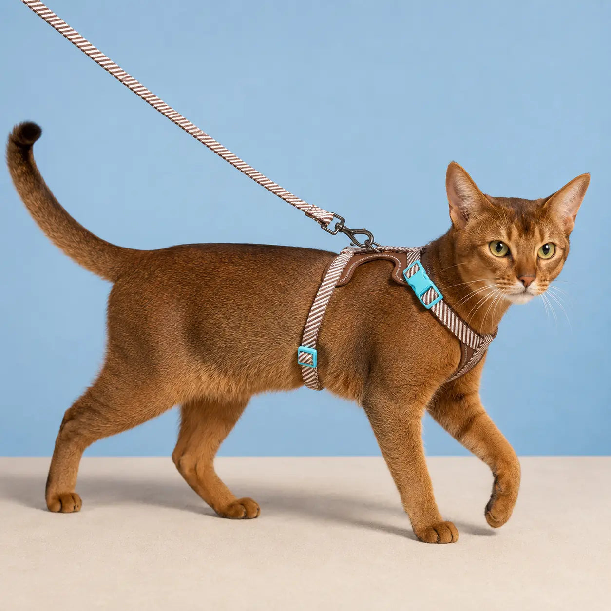 Furavora Adjustable Walk Set — All