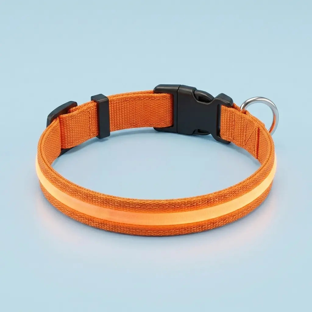 Furavora LED Halo Collar — Orange