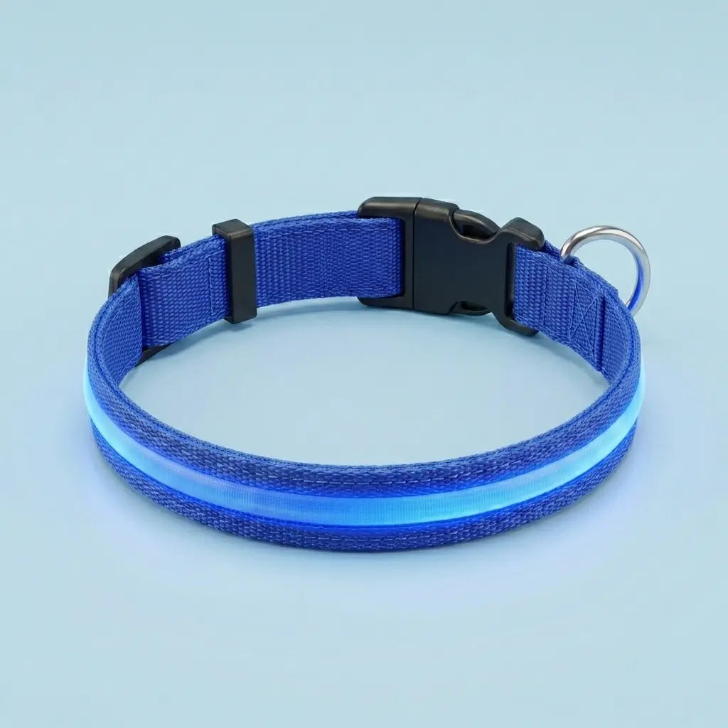Furavora LED Halo Collar — Blue