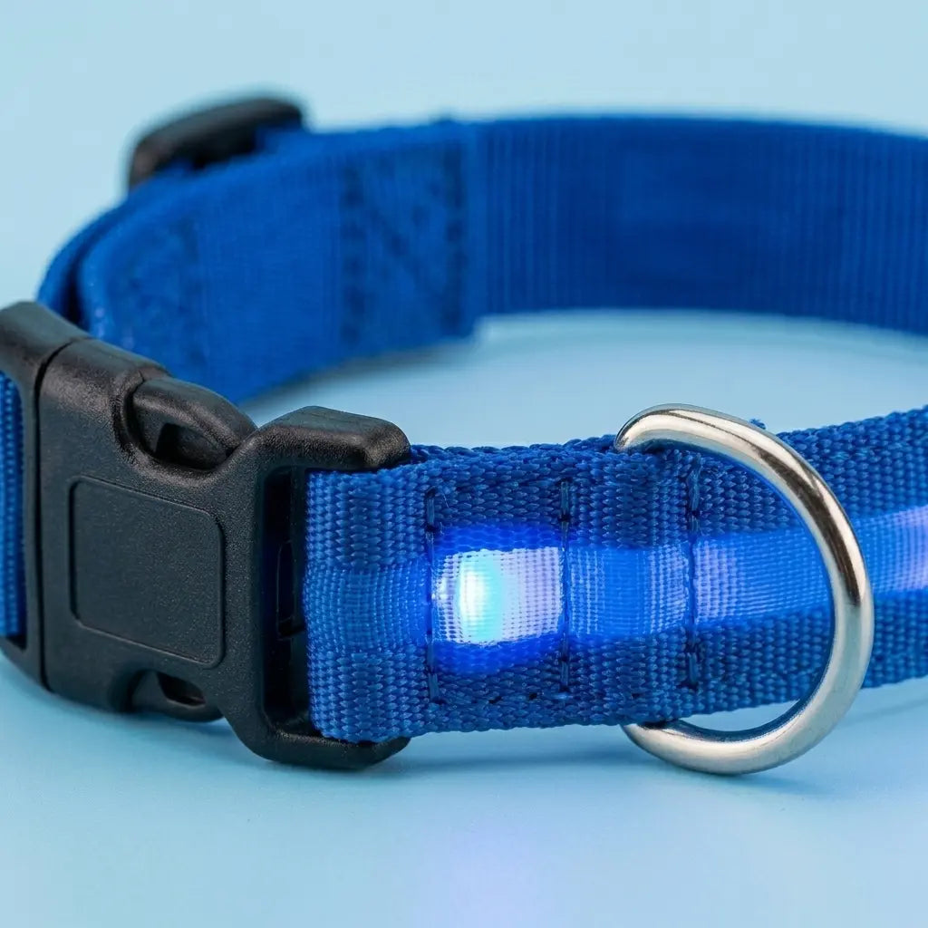 Furavora LED Halo Collar — Blue