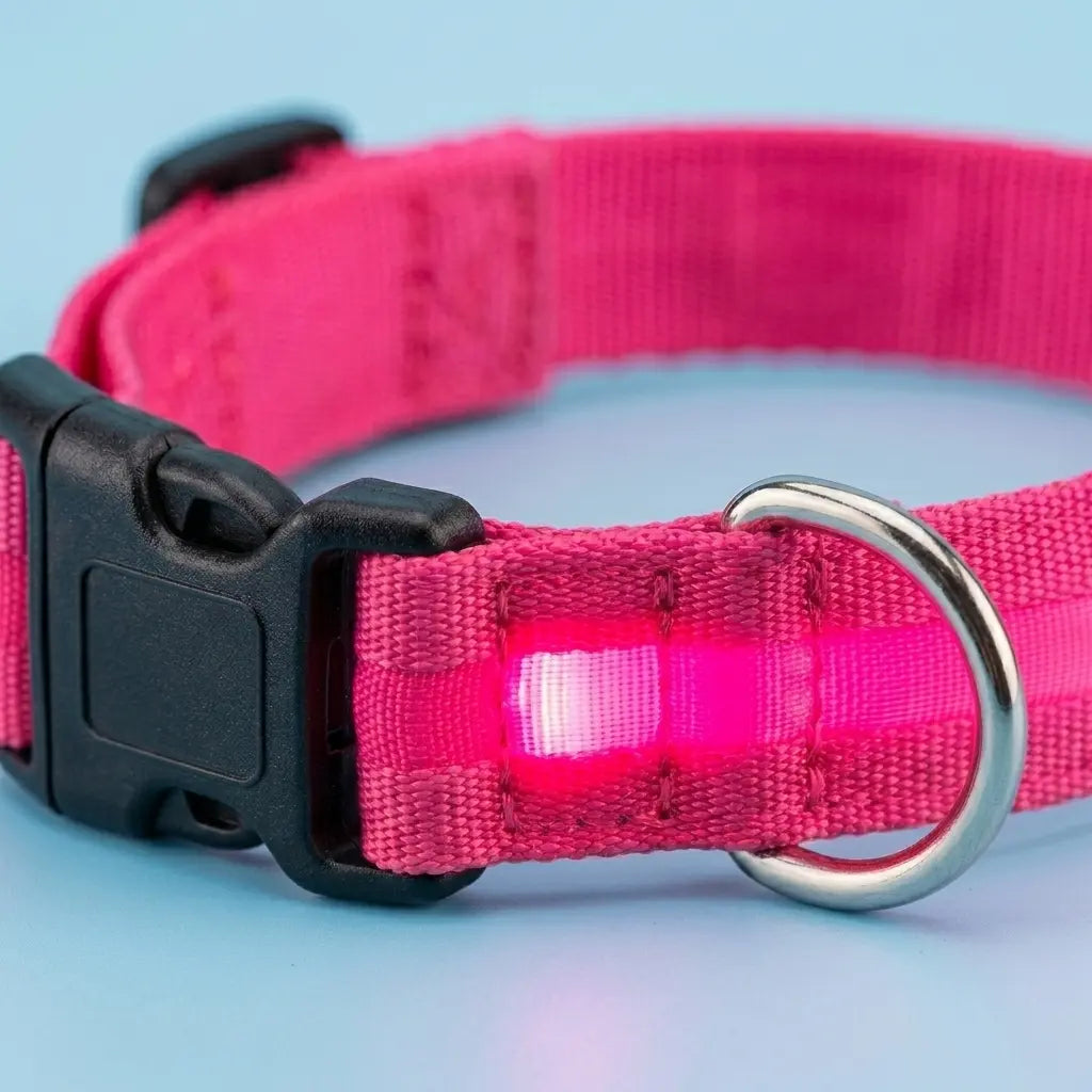 Furavora LED Halo Collar — Hot pink