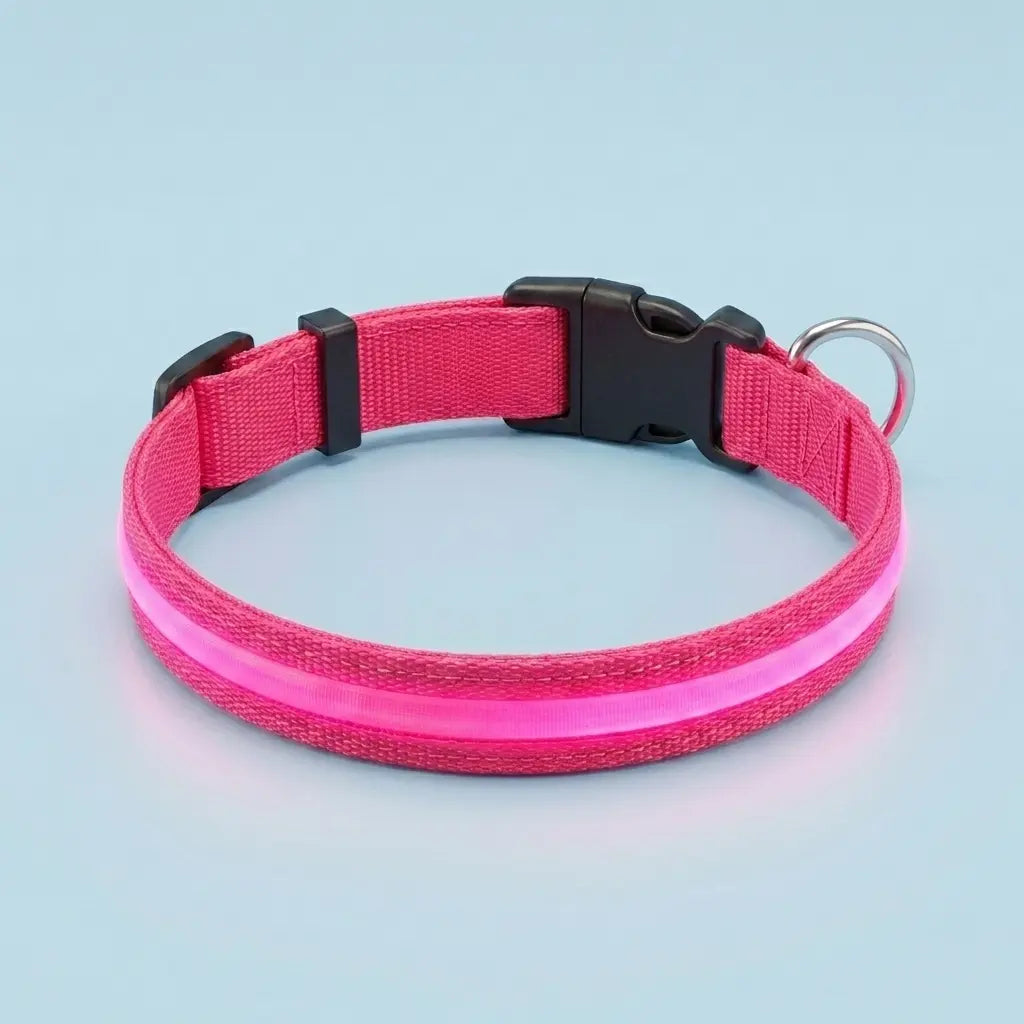 Furavora LED Halo Collar — Hot pink