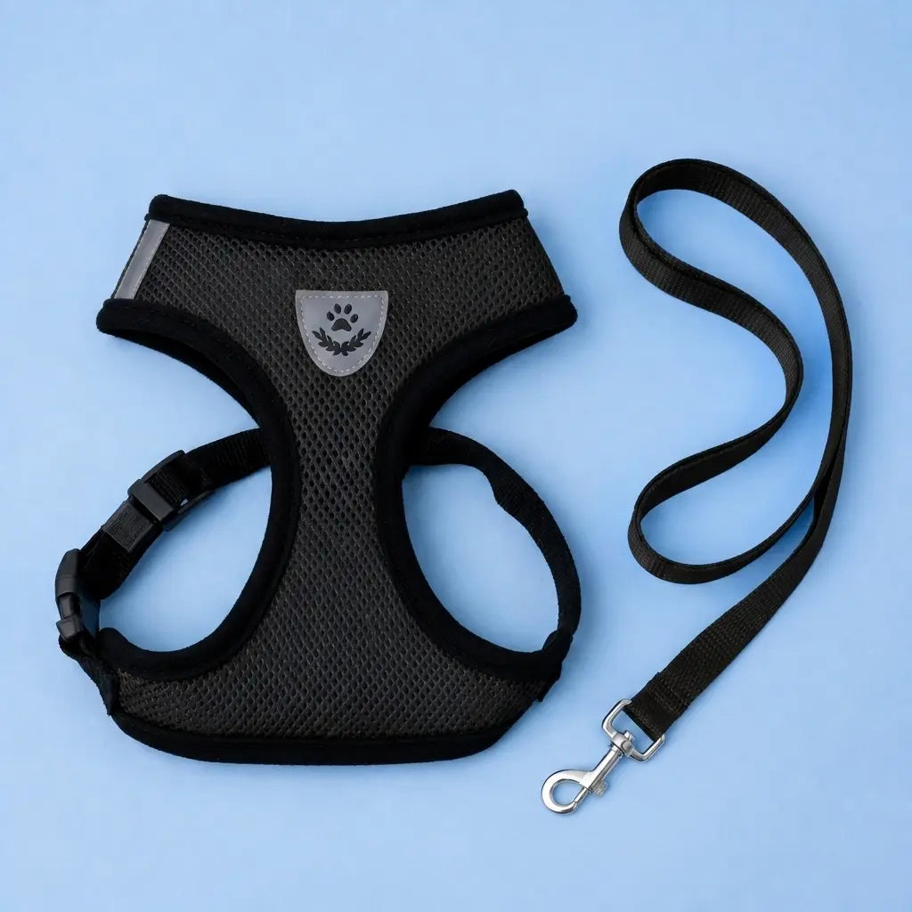 Furavora AirMesh Harness Set — Black