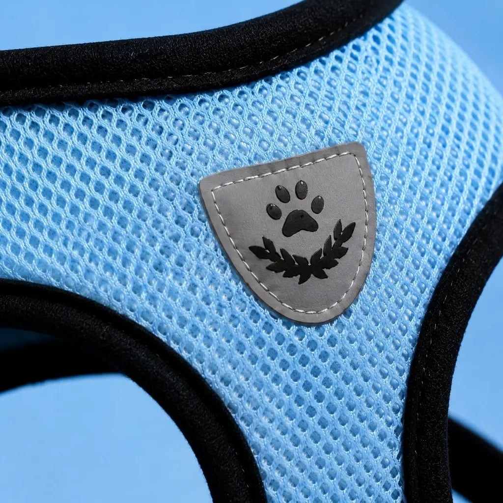 Furavora AirMesh Harness Set — Light blue