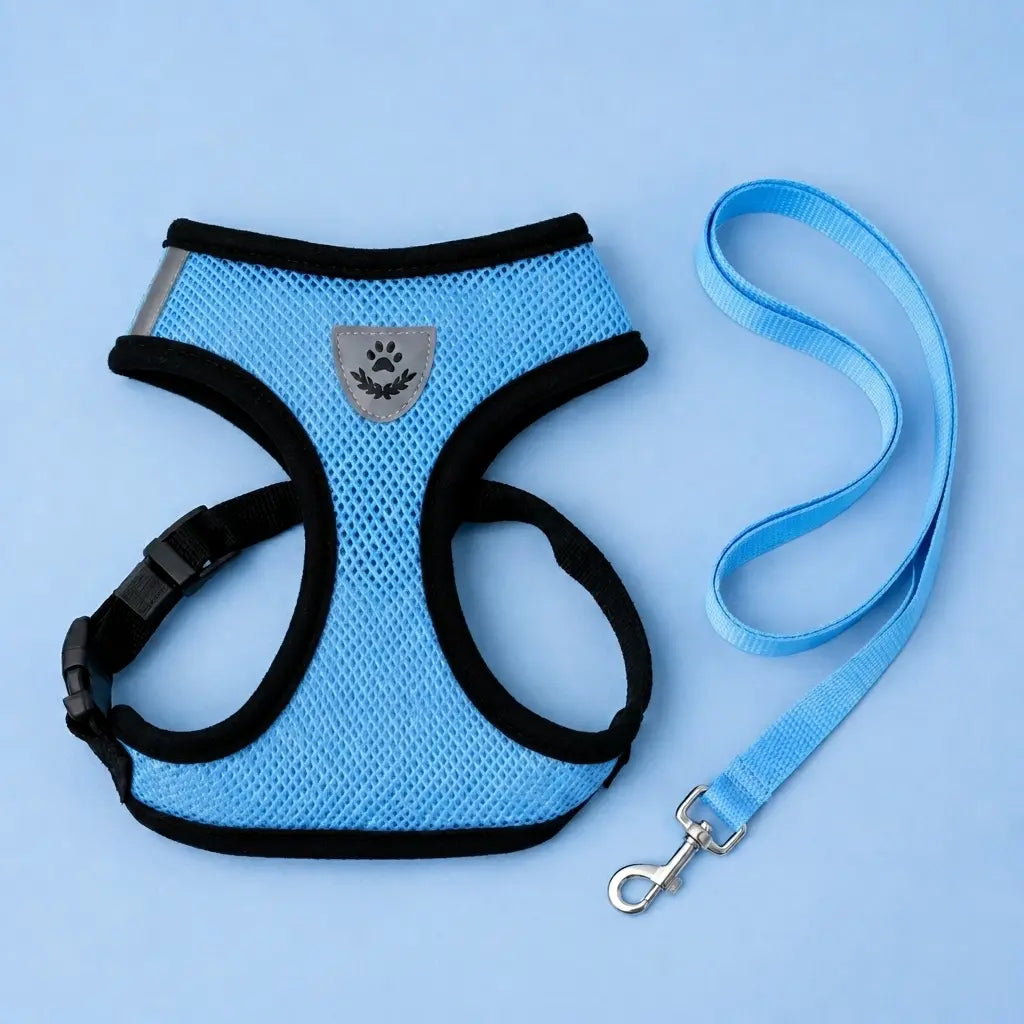 Furavora AirMesh Harness Set — Light blue
