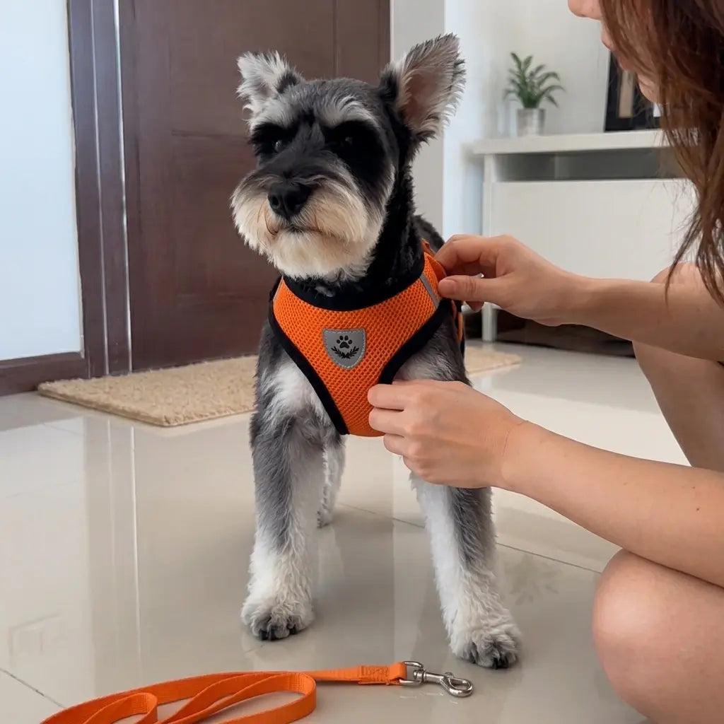 Furavora AirMesh Harness Set — Orange