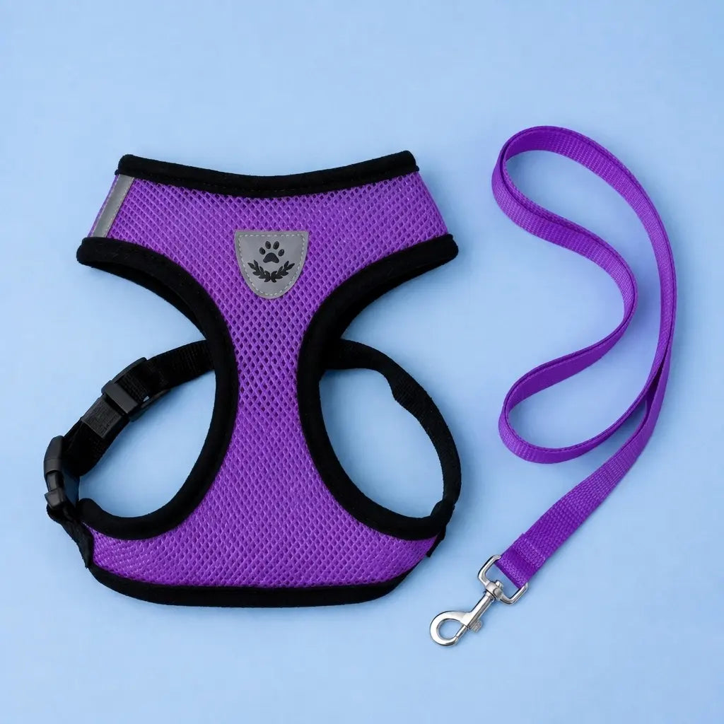 Furavora AirMesh Harness Set — Purple