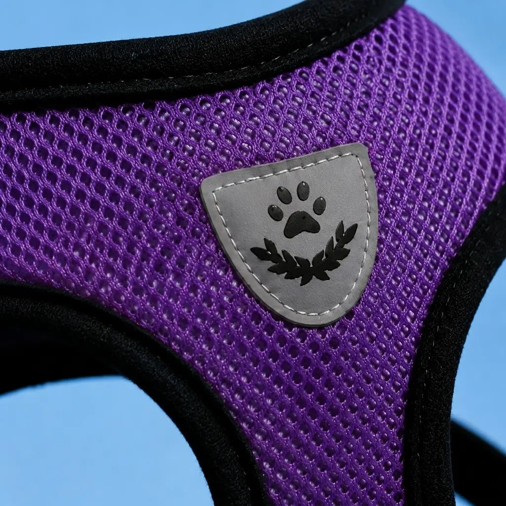 Furavora AirMesh Harness Set — Purple