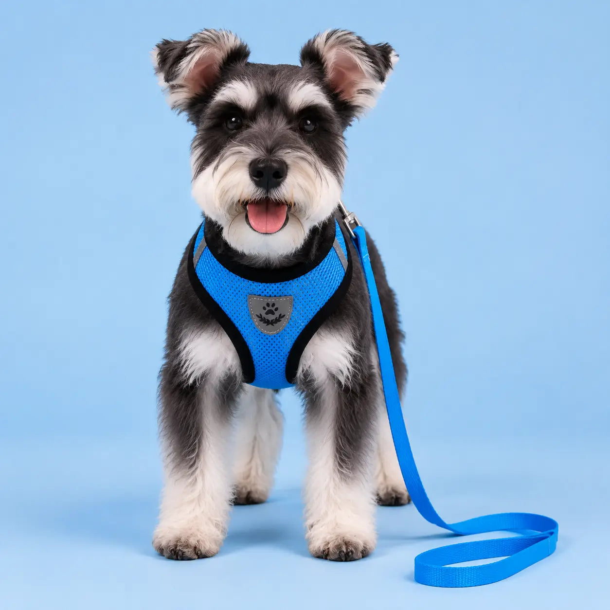 Furavora AirMesh Harness Set — Blue