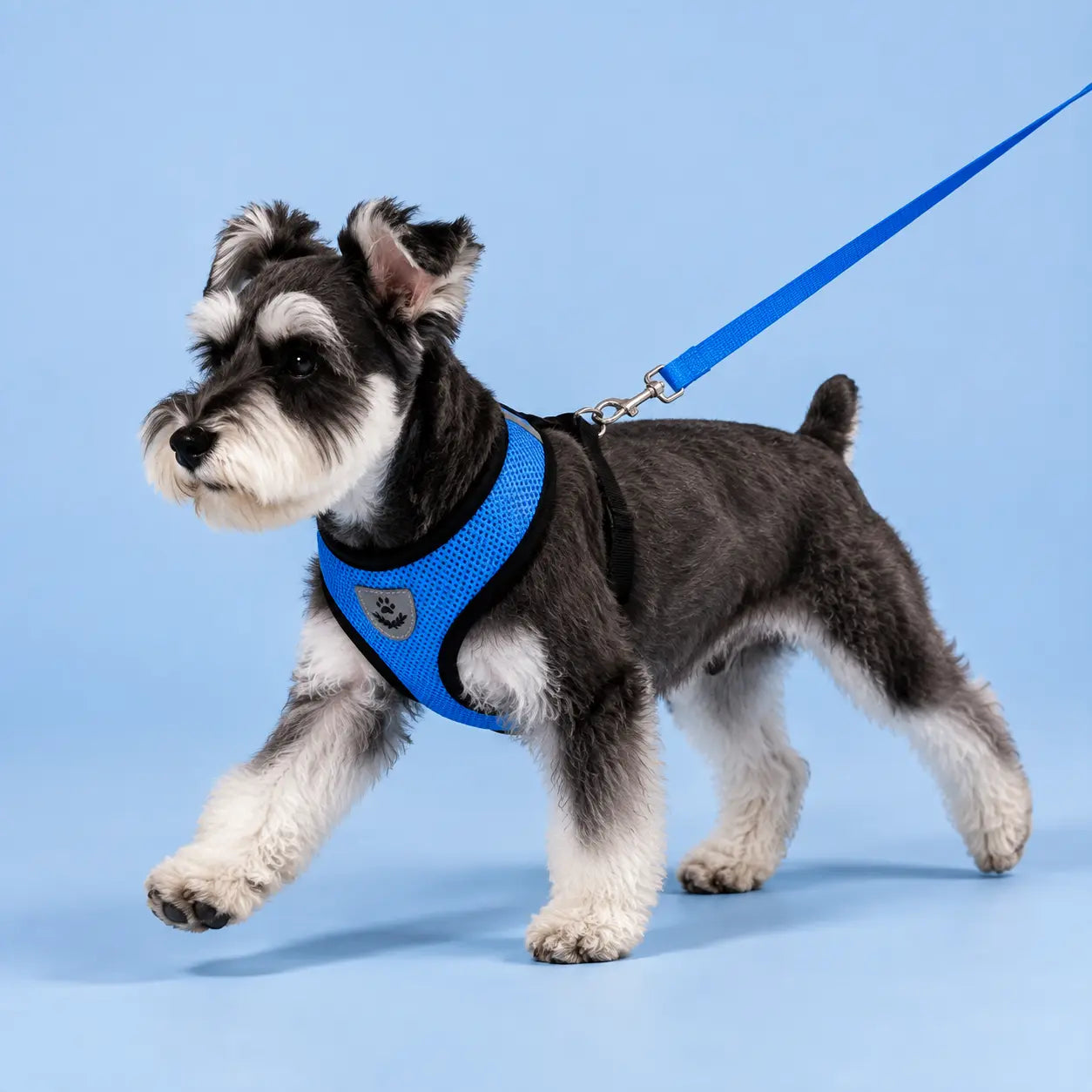 Furavora AirMesh Harness Set — Blue