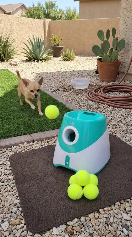 Customer photo featuring Furavora Auto Ball Launcher