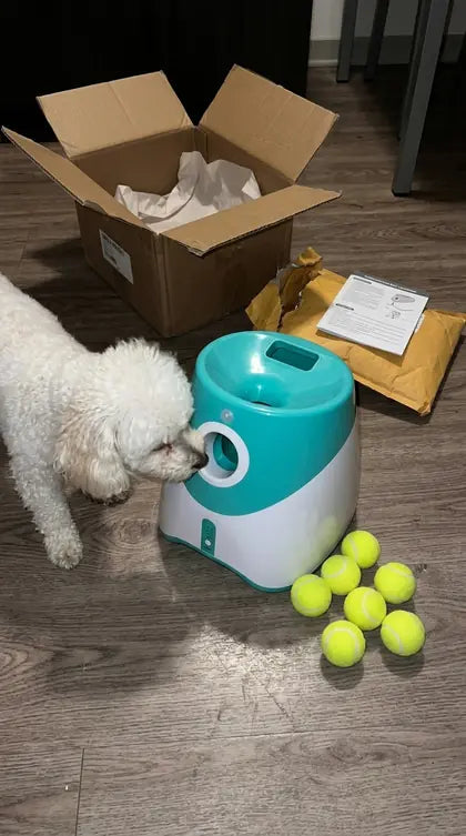 Customer photo featuring Furavora Auto Ball Launcher