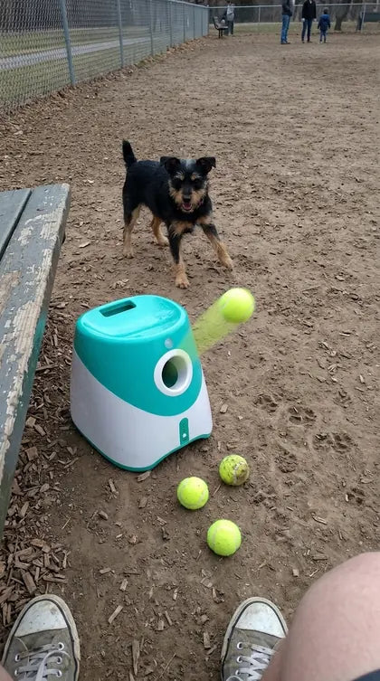 Customer photo featuring Furavora Auto Ball Launcher