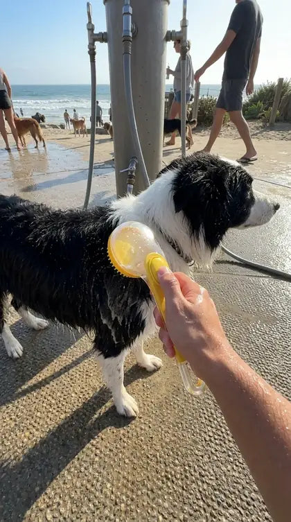 Customer photo featuring Furavora Bath Shampoo Brush