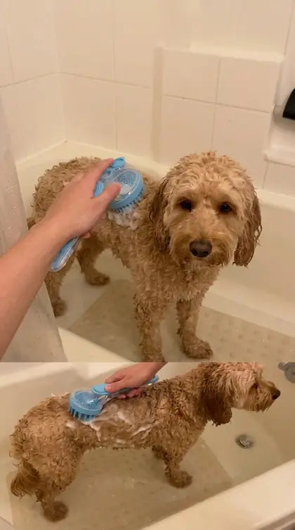 Customer photo featuring Furavora Bath Shampoo Brush