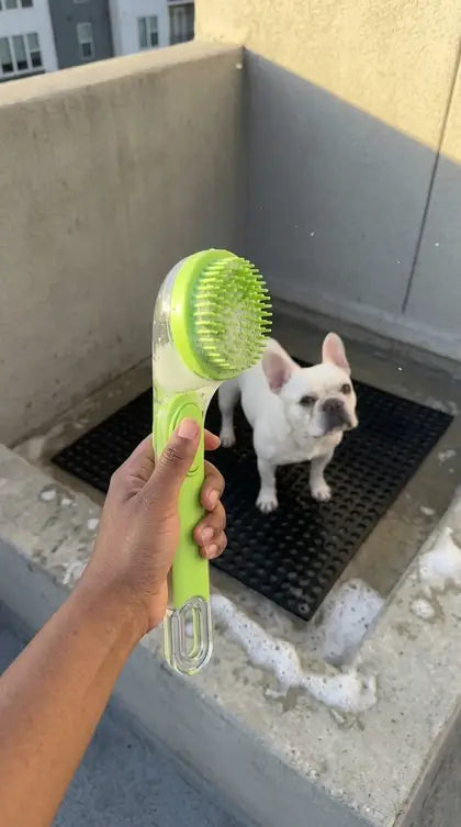 Customer photo featuring Furavora Bath Shampoo Brush