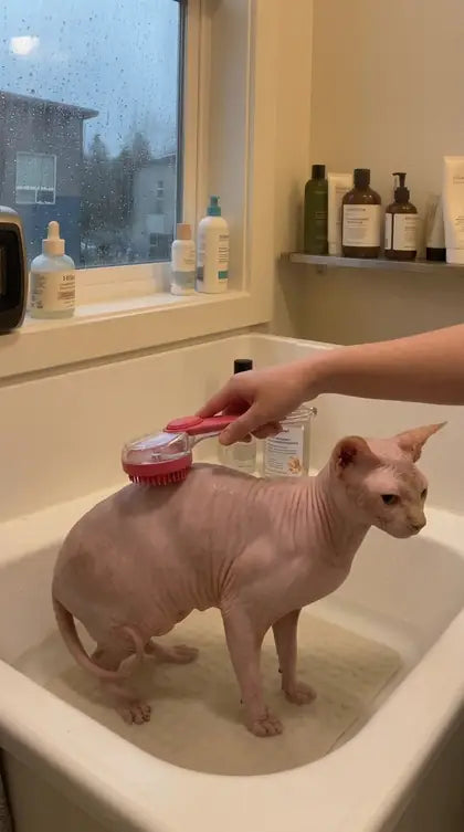 Customer photo featuring Furavora Bath Shampoo Brush