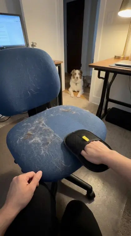 Customer photo featuring Furavora Deshedding Grooming Mitt