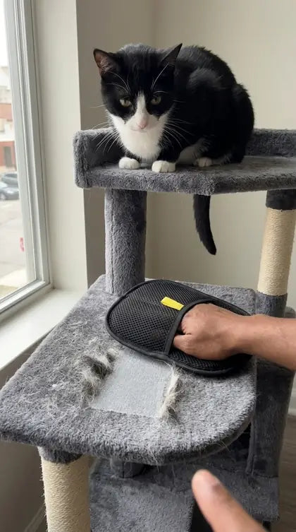 Customer photo featuring Furavora Deshedding Grooming Mitt