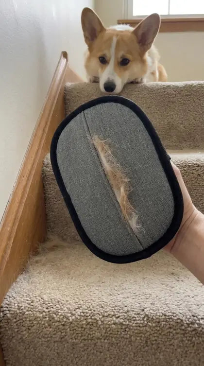 Customer photo featuring Furavora Deshedding Grooming Mitt