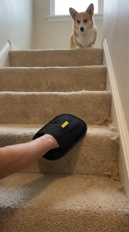 Customer photo featuring Furavora Deshedding Grooming Mitt