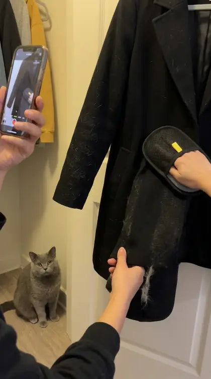 Customer photo featuring Furavora Deshedding Grooming Mitt