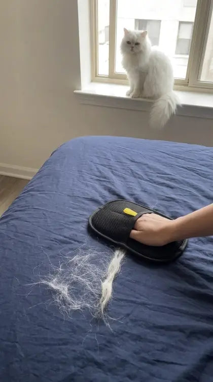 Customer photo featuring Furavora Deshedding Grooming Mitt