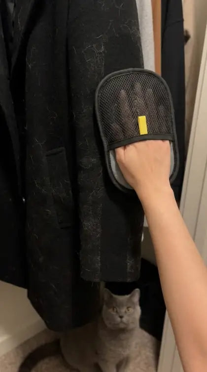 Customer photo featuring Furavora Deshedding Grooming Mitt