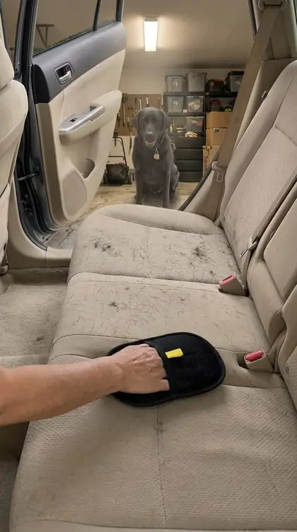 Customer photo featuring Furavora Deshedding Grooming Mitt