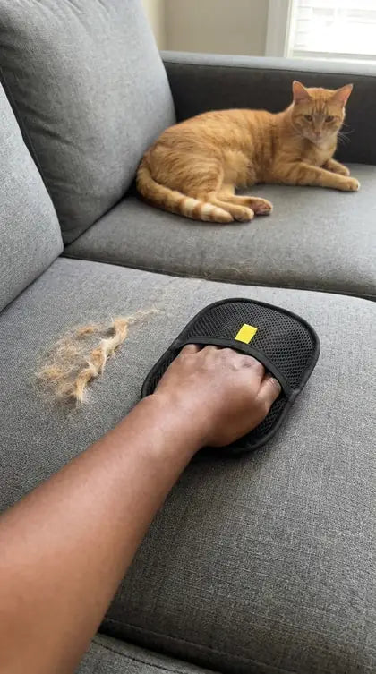 Customer photo featuring Furavora Deshedding Grooming Mitt