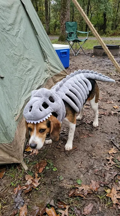 Customer photo featuring Furavora Dino Skeleton Costume
