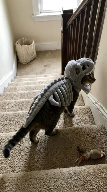 Customer photo featuring Furavora Dino Skeleton Costume