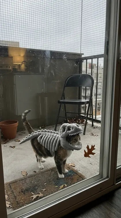 Customer photo featuring Furavora Dino Skeleton Costume
