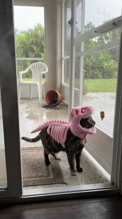Customer photo featuring Furavora Dino Skeleton Costume