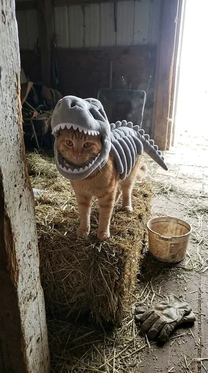 Customer photo featuring Furavora Dino Skeleton Costume