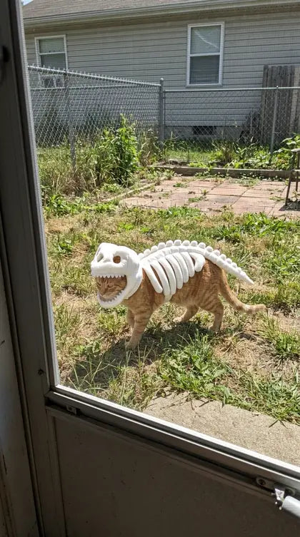 Customer photo featuring Furavora Dino Skeleton Costume