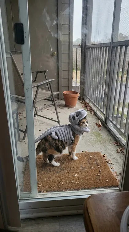 Customer photo featuring Furavora Dino Skeleton Costume