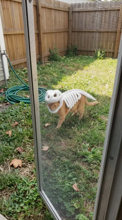 Customer photo featuring Furavora Dino Skeleton Costume