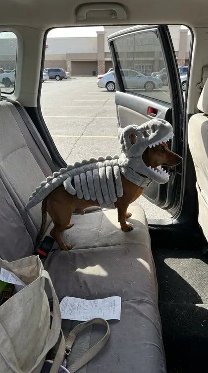 Customer photo featuring Furavora Dino Skeleton Costume