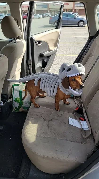 Customer photo featuring Furavora Dino Skeleton Costume