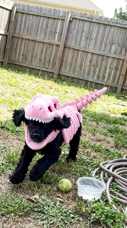 Customer photo featuring Furavora Dino Skeleton Costume