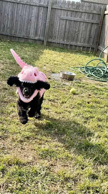 Customer photo featuring Furavora Dino Skeleton Costume