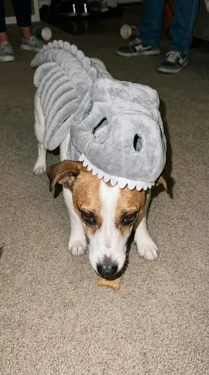 Customer photo featuring Furavora Dino Skeleton Costume