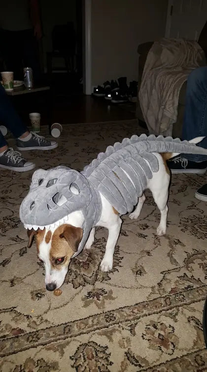 Customer photo featuring Furavora Dino Skeleton Costume