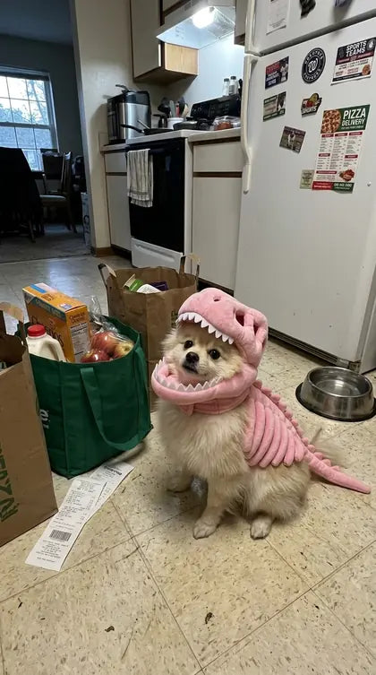 Customer photo featuring Furavora Dino Skeleton Costume