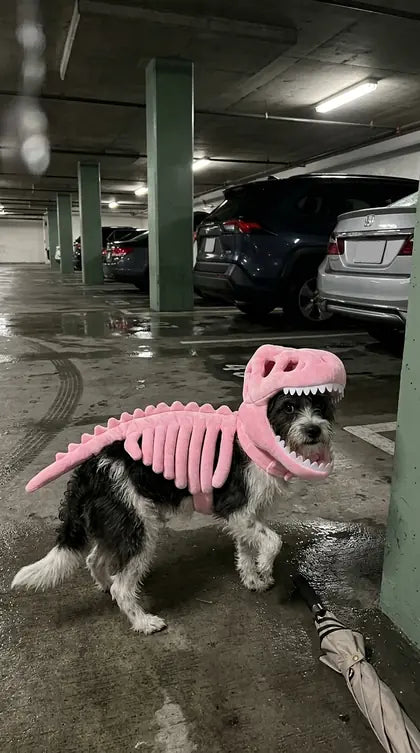 Customer photo featuring Furavora Dino Skeleton Costume