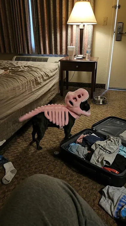 Customer photo featuring Furavora Dino Skeleton Costume